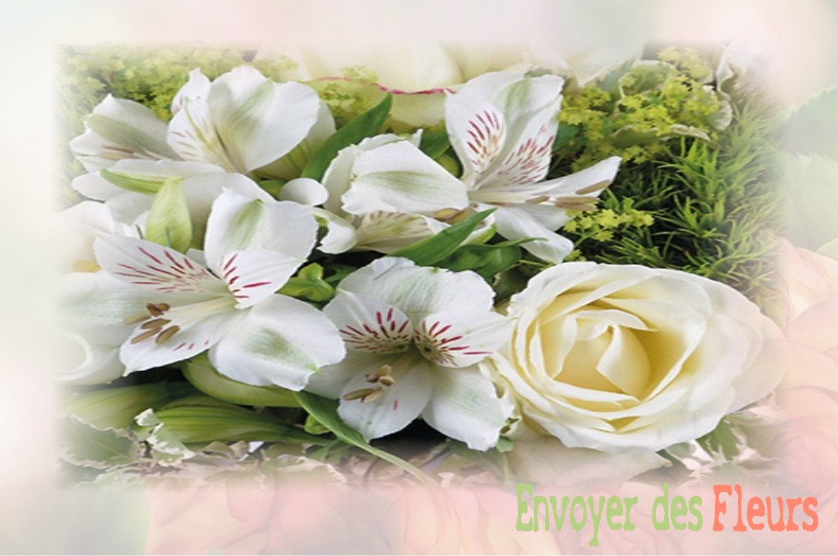 envoyer des fleurs à à FRUGERES-LES-MINES